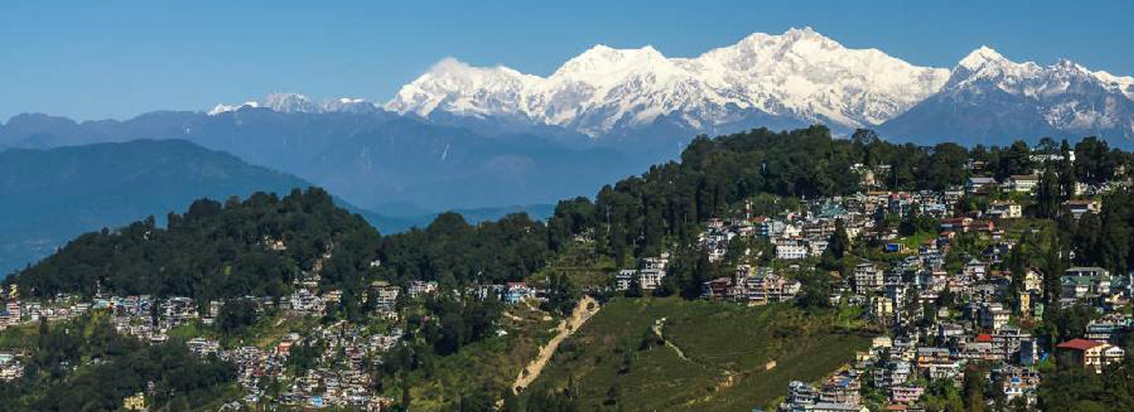 Beautiful Darjeeling Town and Tea Plantation with Kanchenjunga on background.